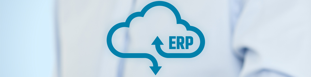 erp microsoft